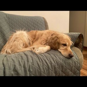 Meet your Posher, Devin